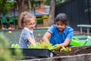 Gardening